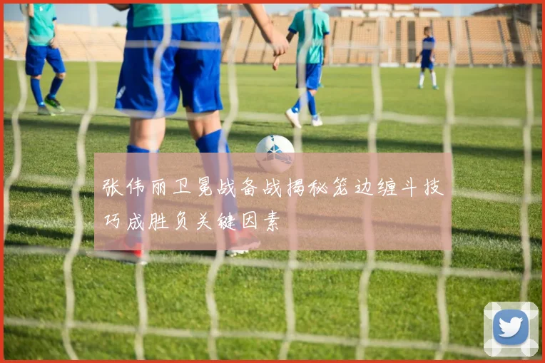 张伟丽卫冕战备战揭秘笼边缠斗技巧成胜负关键因素